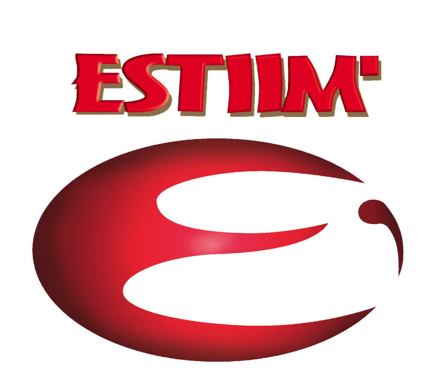 Logo ESTIIM'
